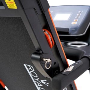begovaya dorozhka royal fitness rf 6 8